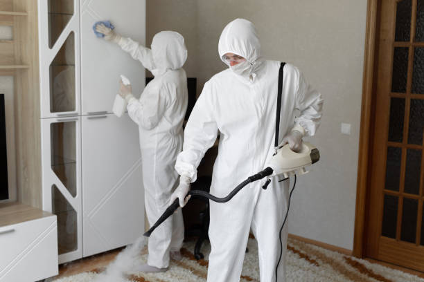 Best Crawl Space Mold Removal  in Crown Pot, IN