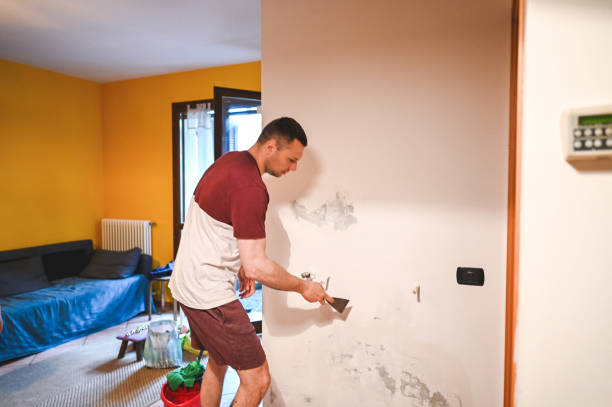 Best Same-Day Mold Removal  in Crown Pot, IN