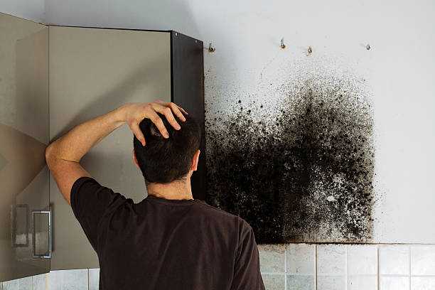 Best Water Damage Restoration  in Crown Pot, IN